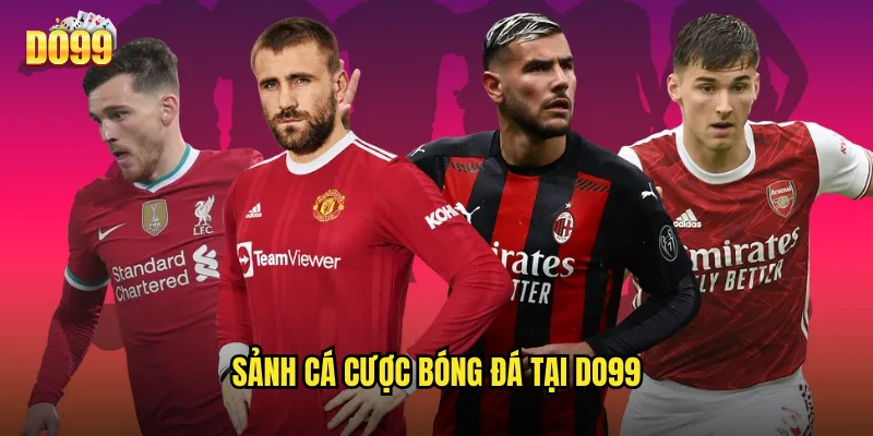 Sảnh Cá Cược Bóng Đá Tại Do99