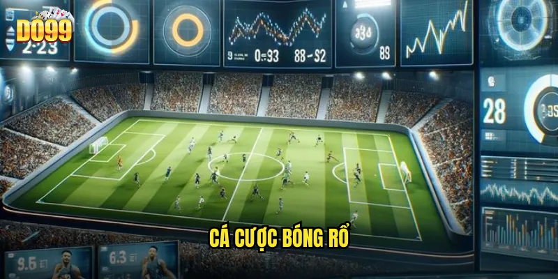 cá cược bóng rổ